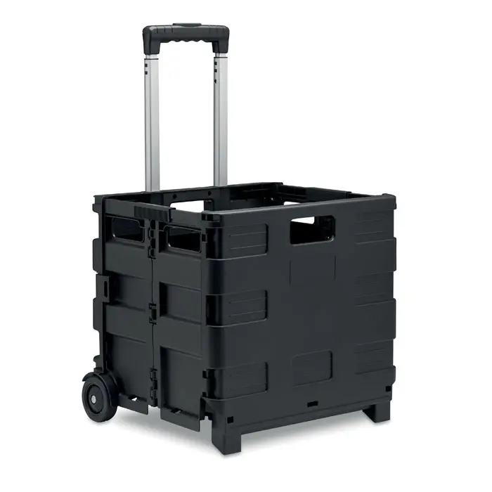Carro Shopping Trolley