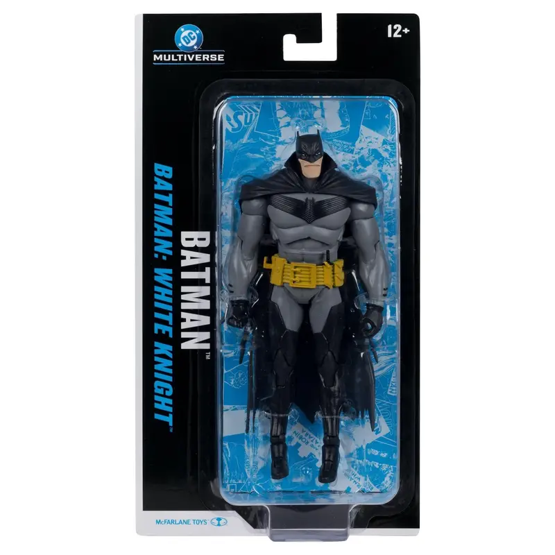 DC Multiverse