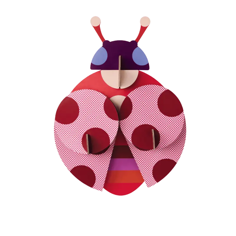 Dotted Lady