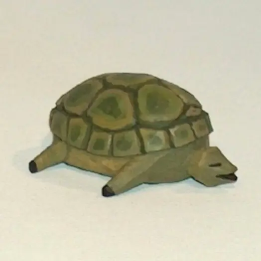 Schildkroete
