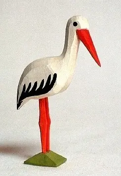 Storch